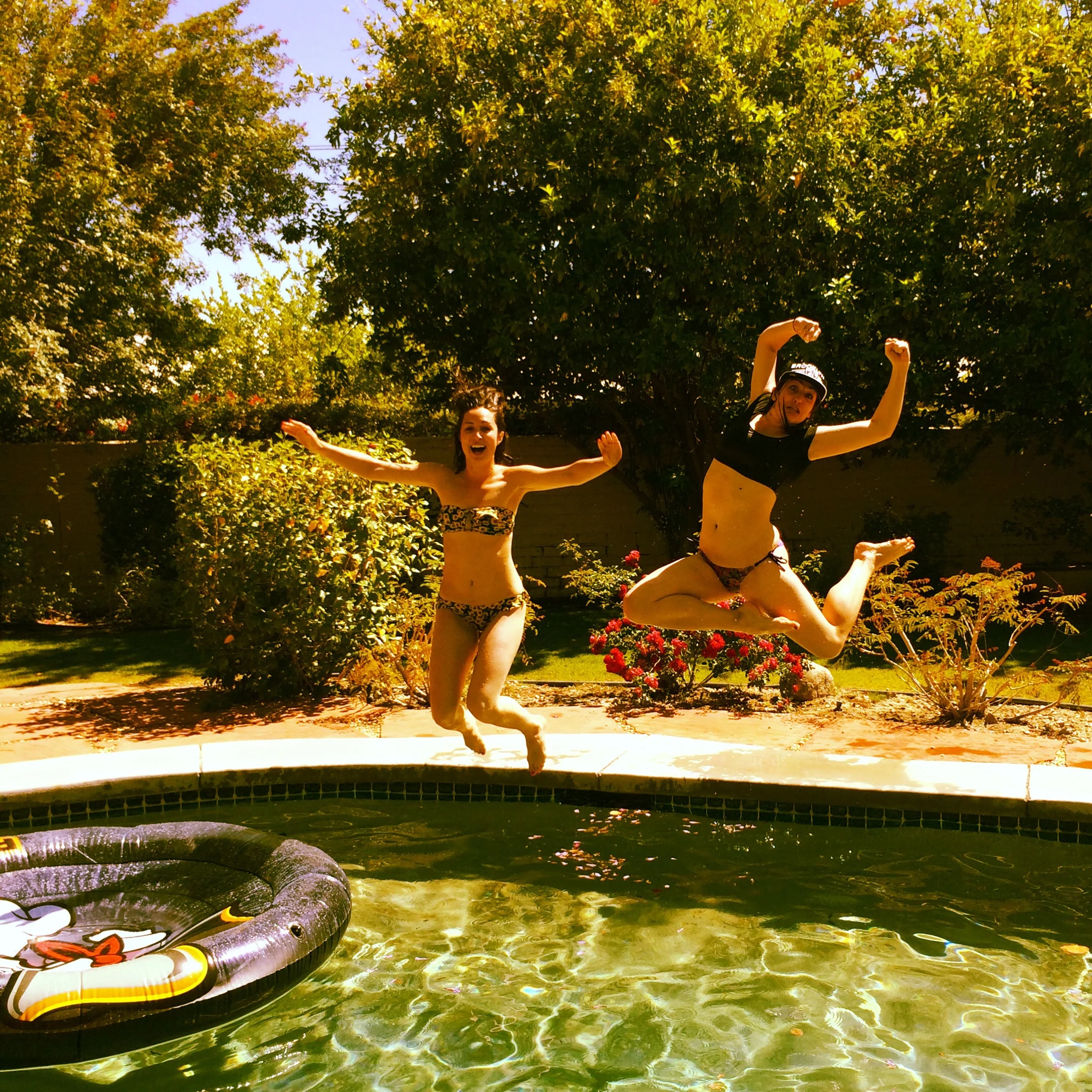 the 2 single ladies 