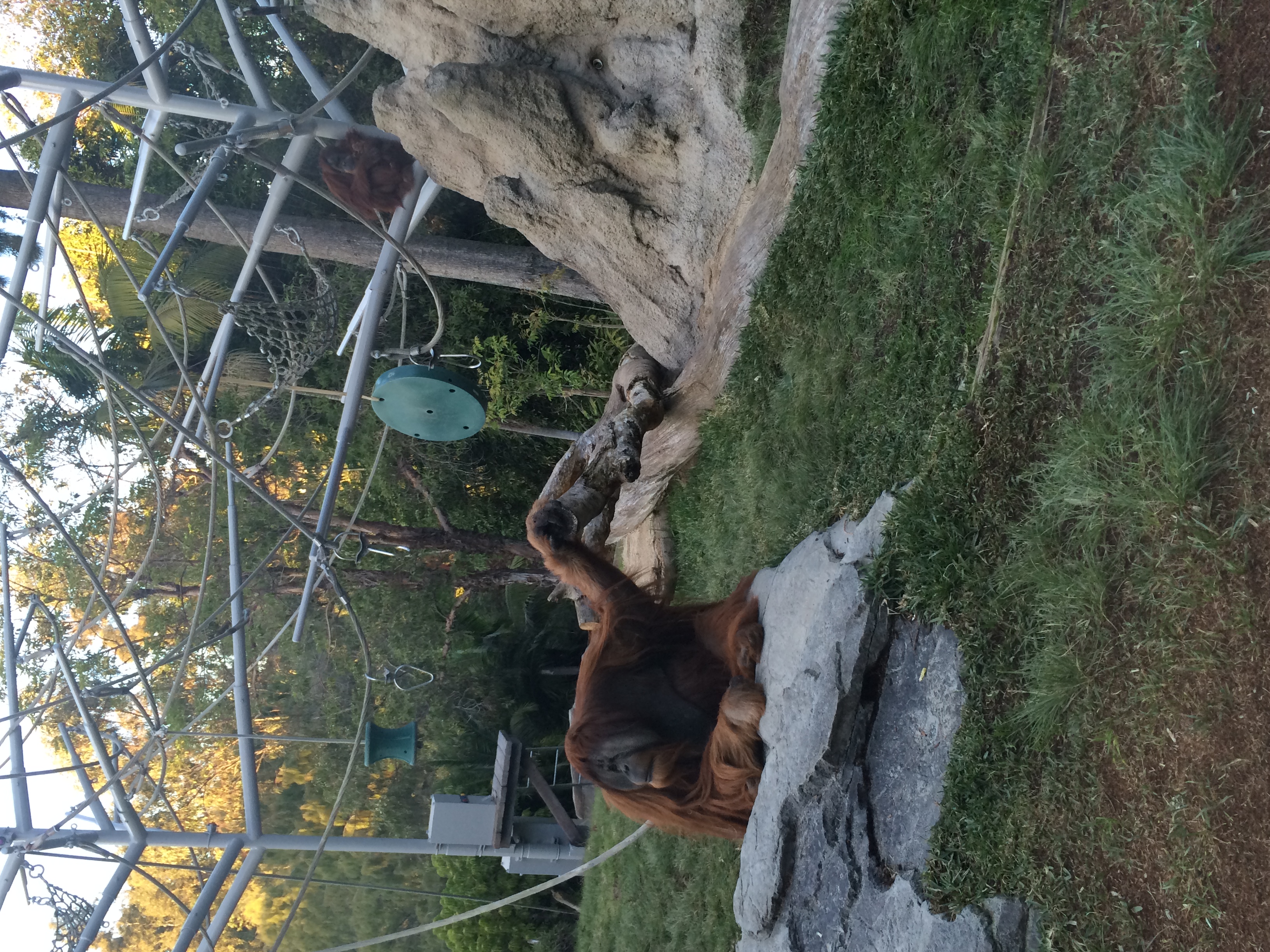 zoo3.jpeg