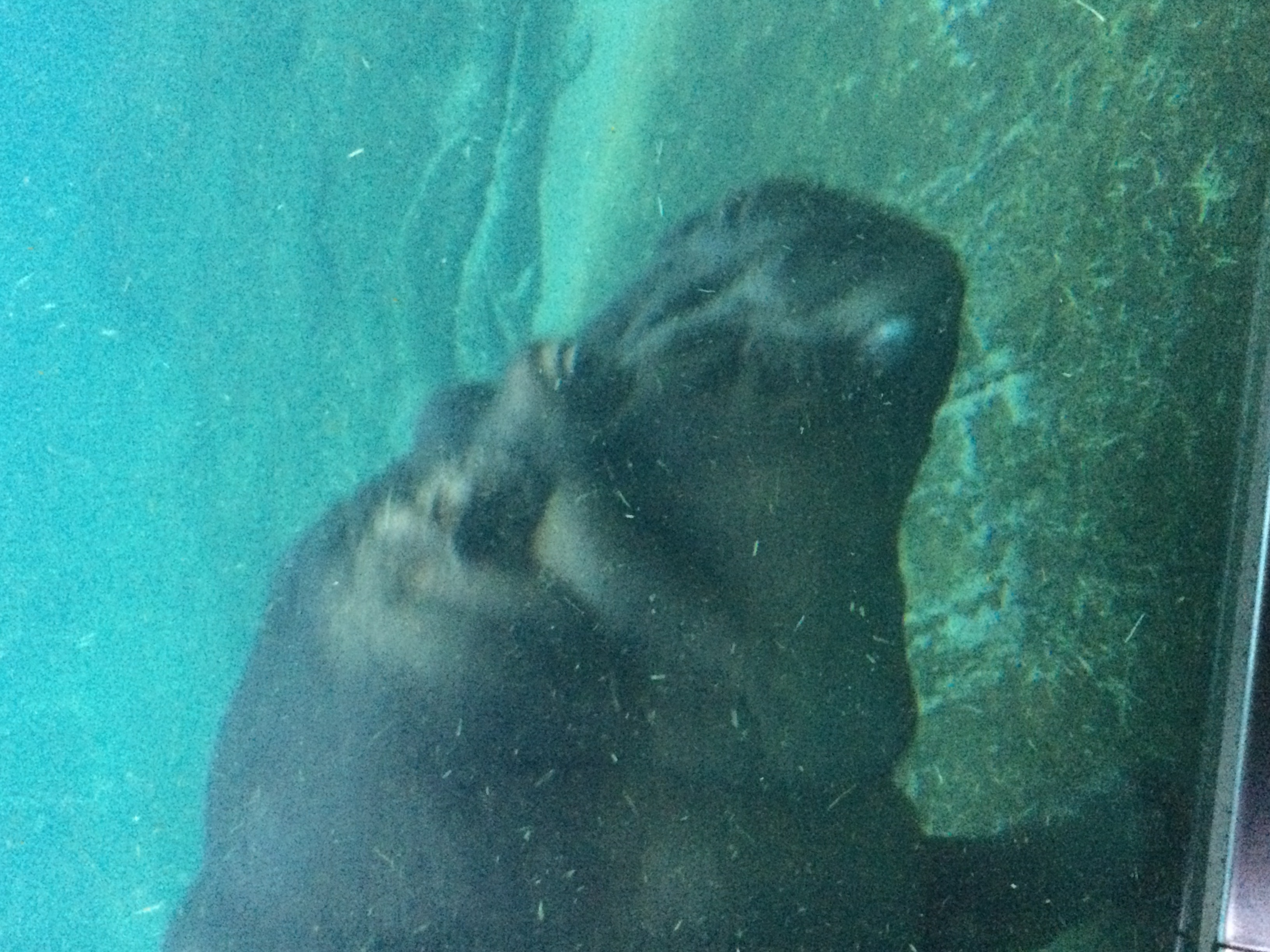 zoo4.jpeg