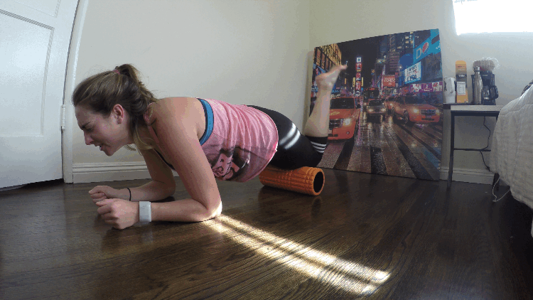 foam+roll+orange.gif