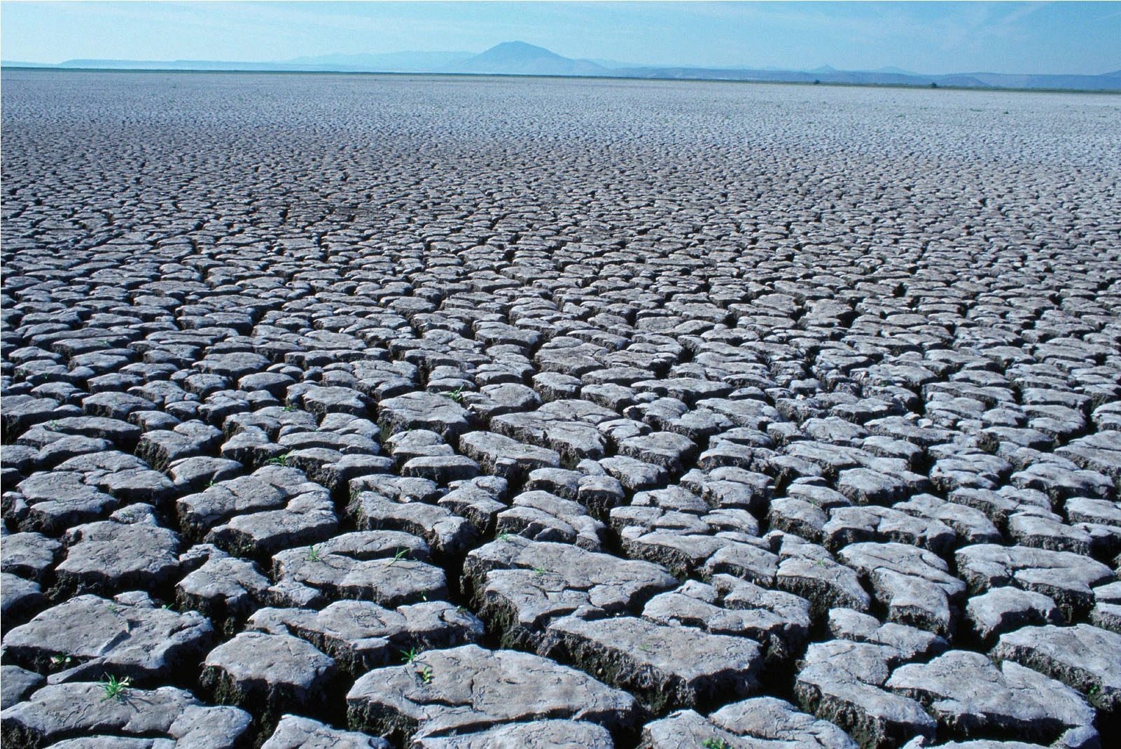 Decreasing arable land.