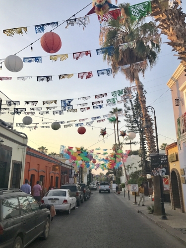 san jose del cabo 