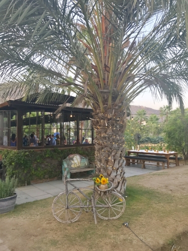 flora farms 