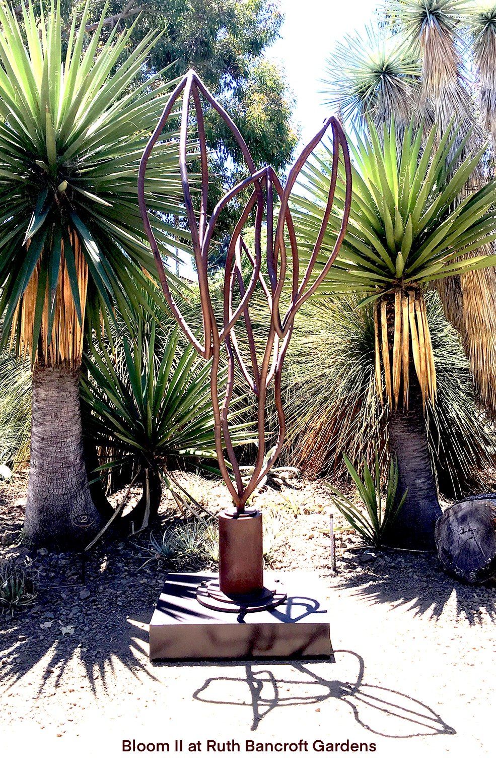 Bloom II 7.jpg