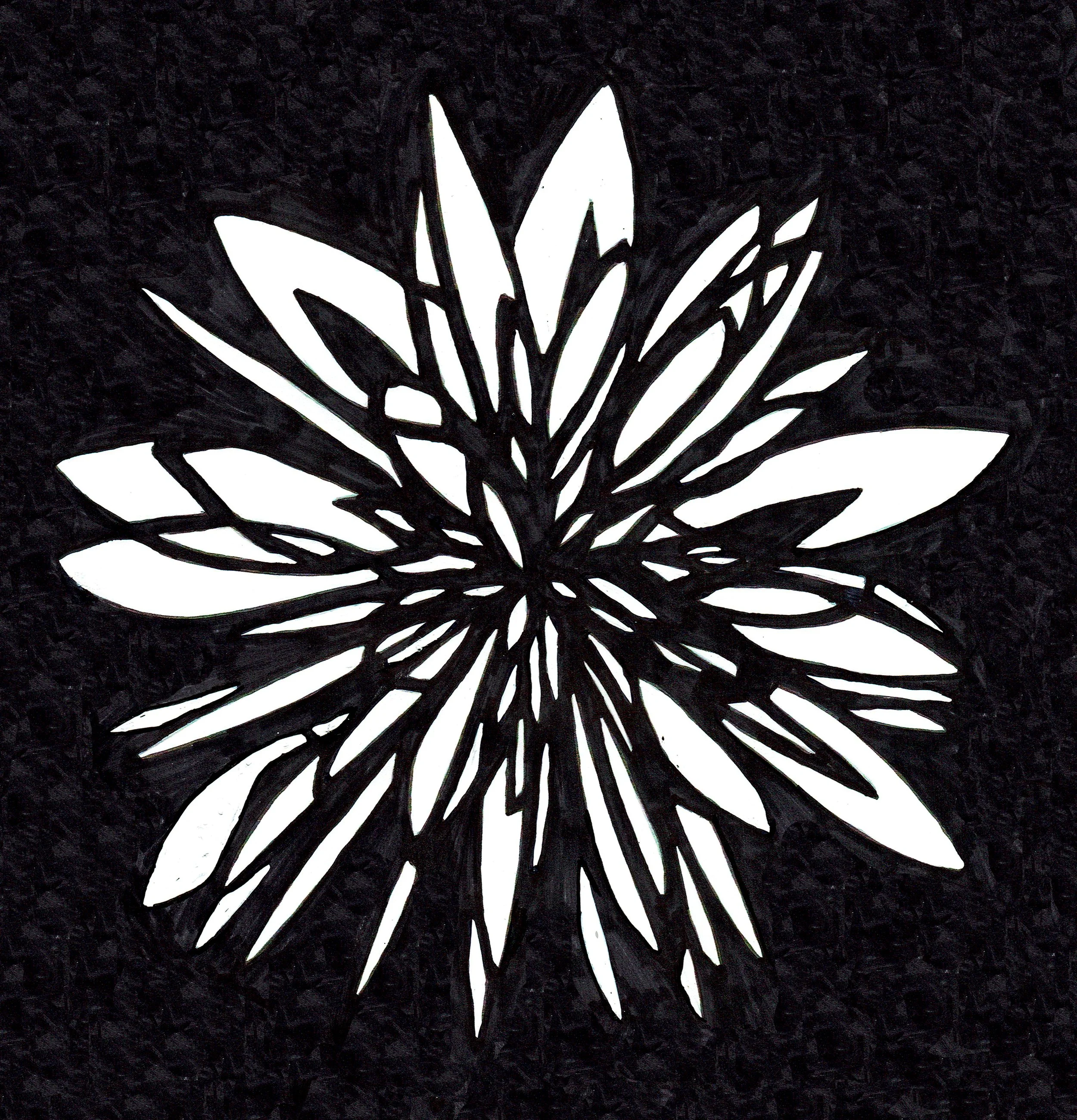 Polaris Screen 6.jpg