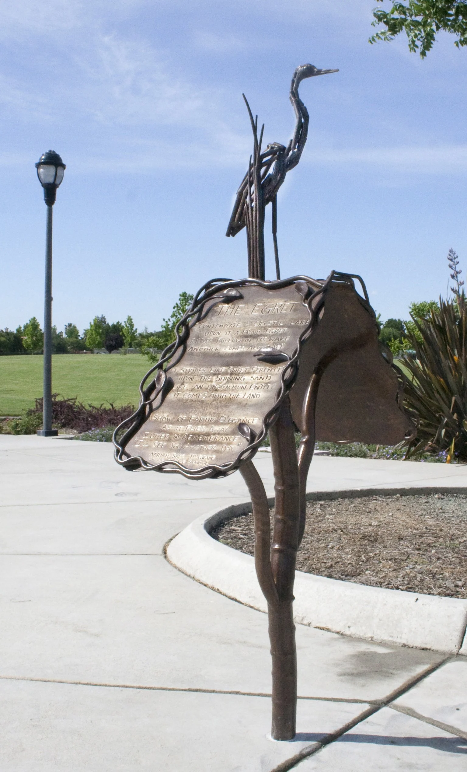 Native Species 2.jpg