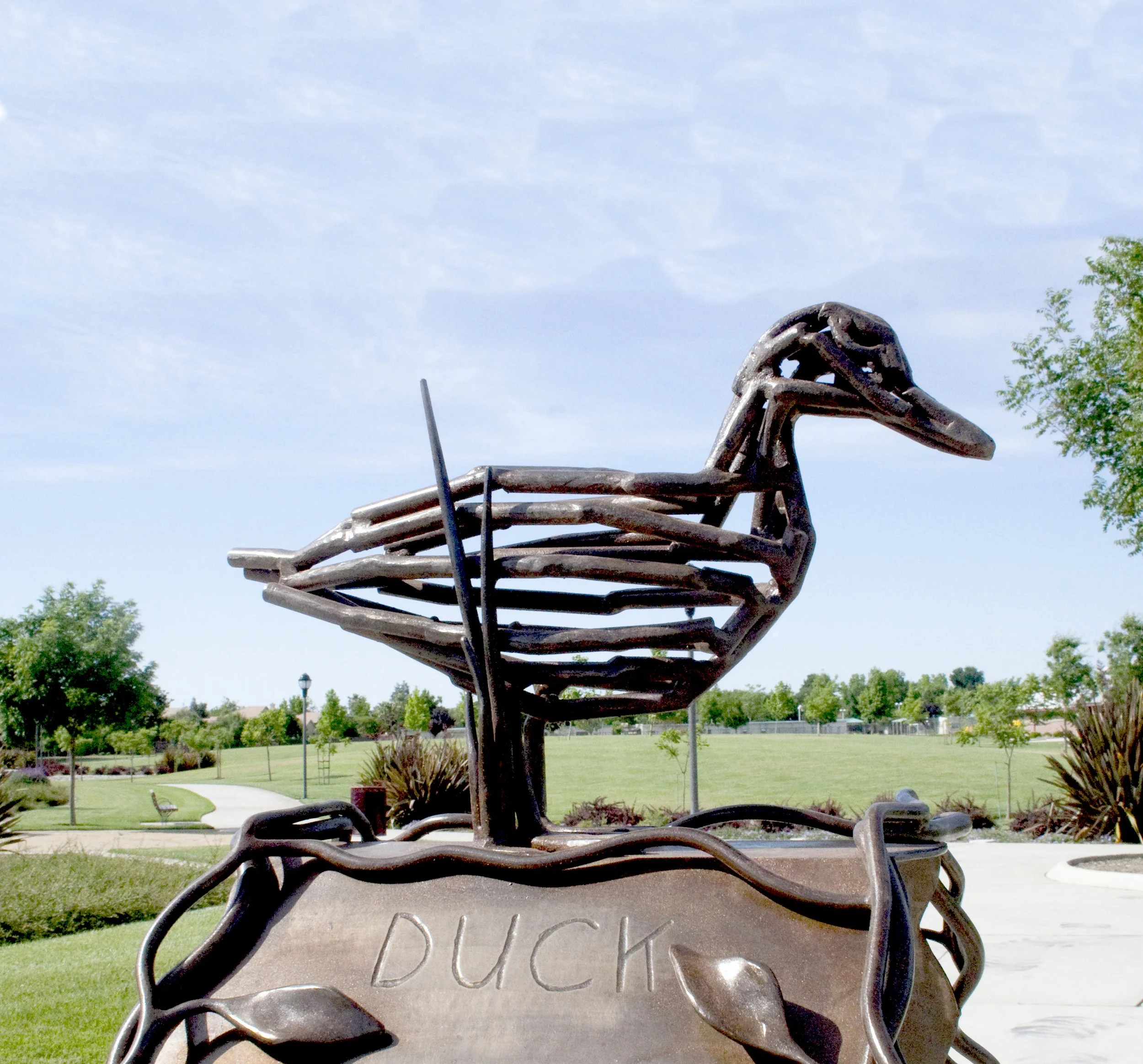 Native Species 3.jpg