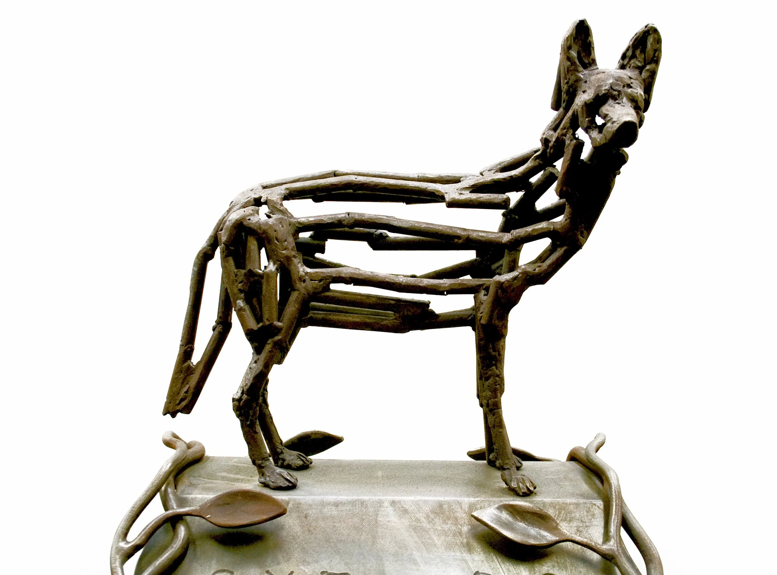 Native Species 6.jpg