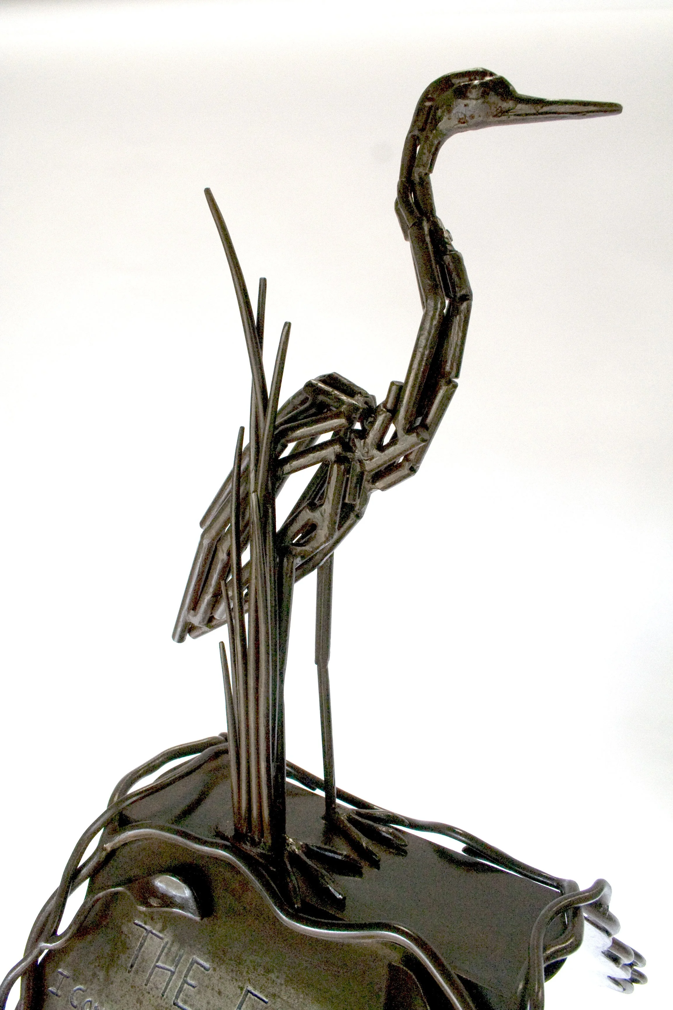 Native Species 7.jpg