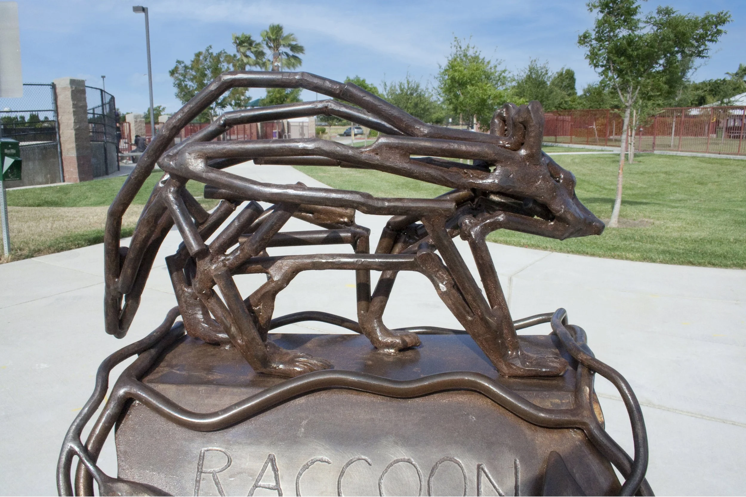 Native Species 5.jpg