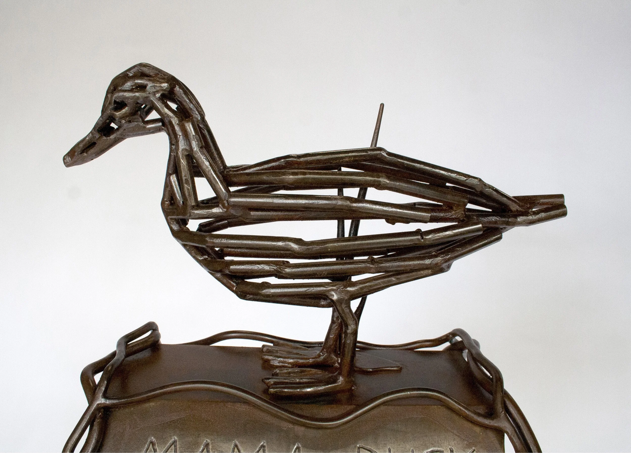 Native Species 8.jpg