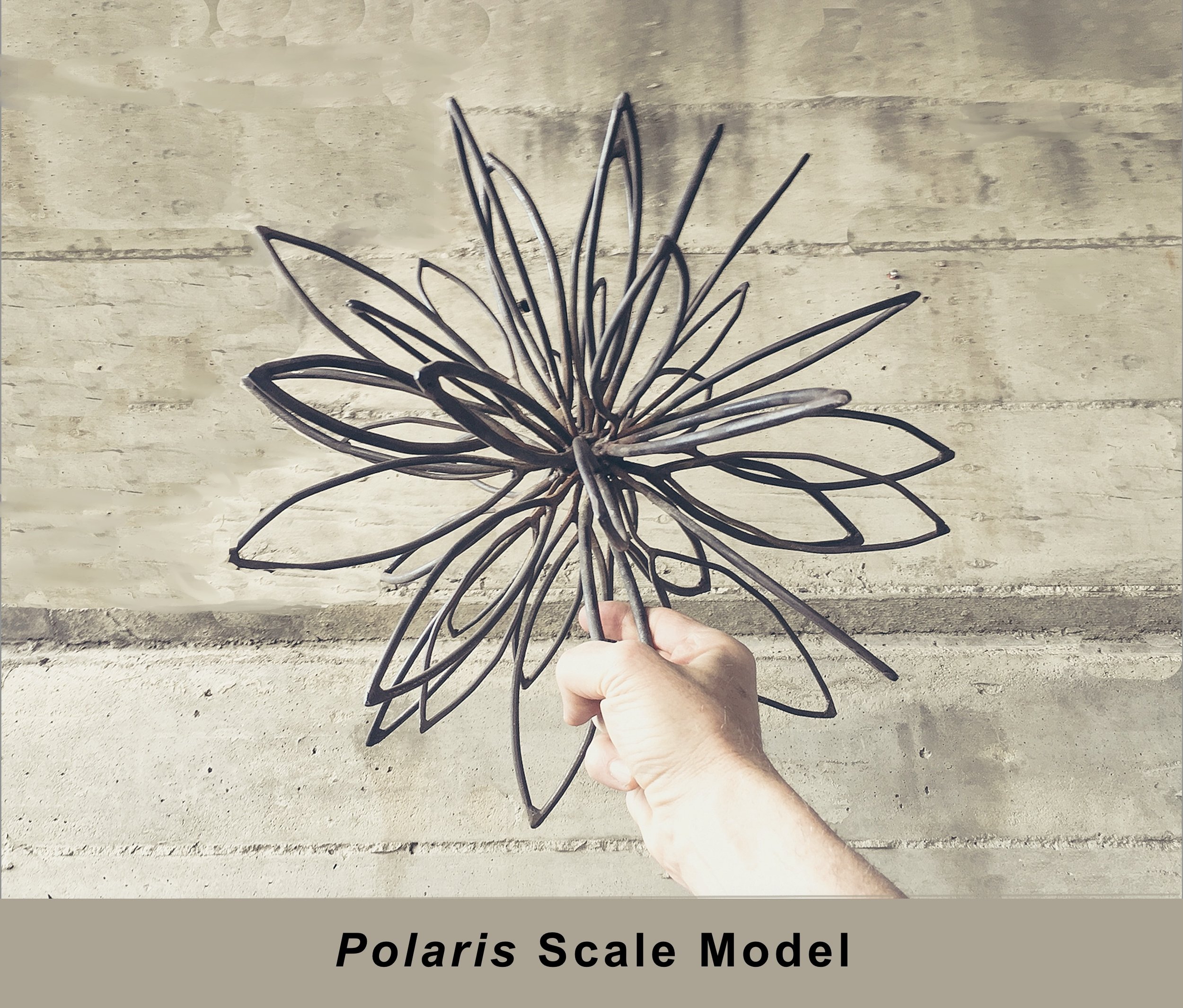 Polaris 11.jpg