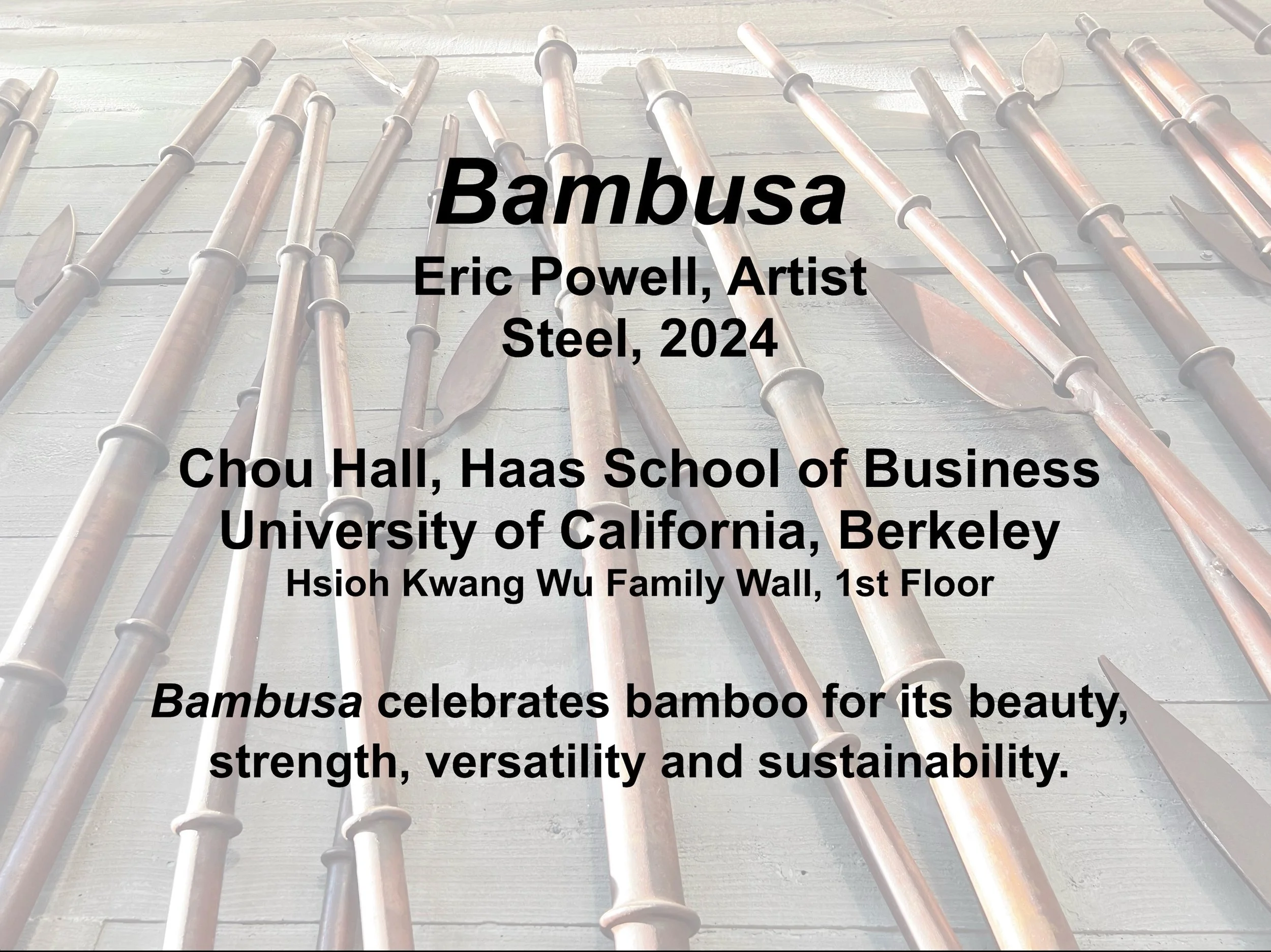 Bambusa 9.jpg