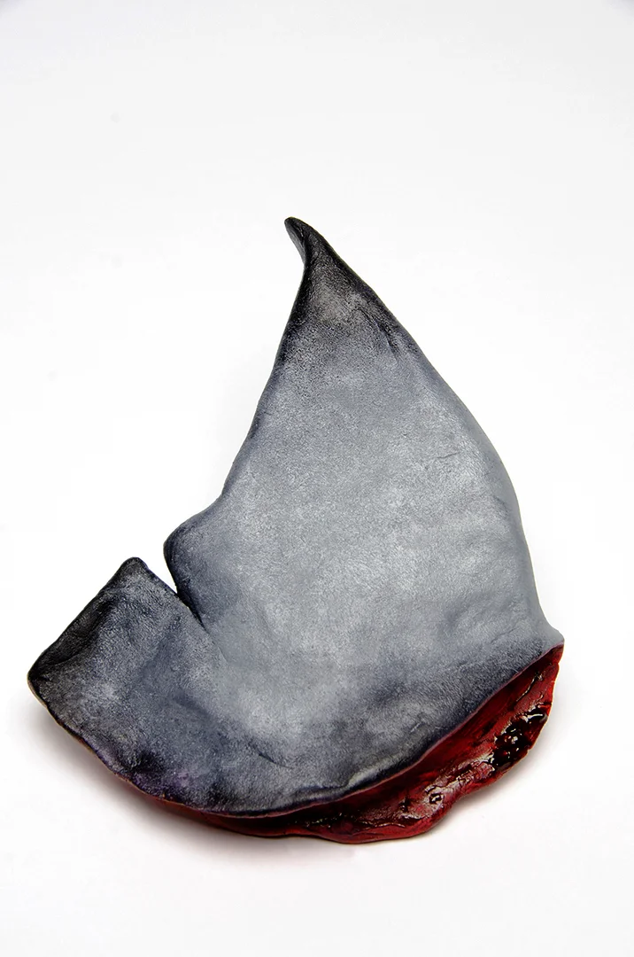 Untitled (Shark Finning)