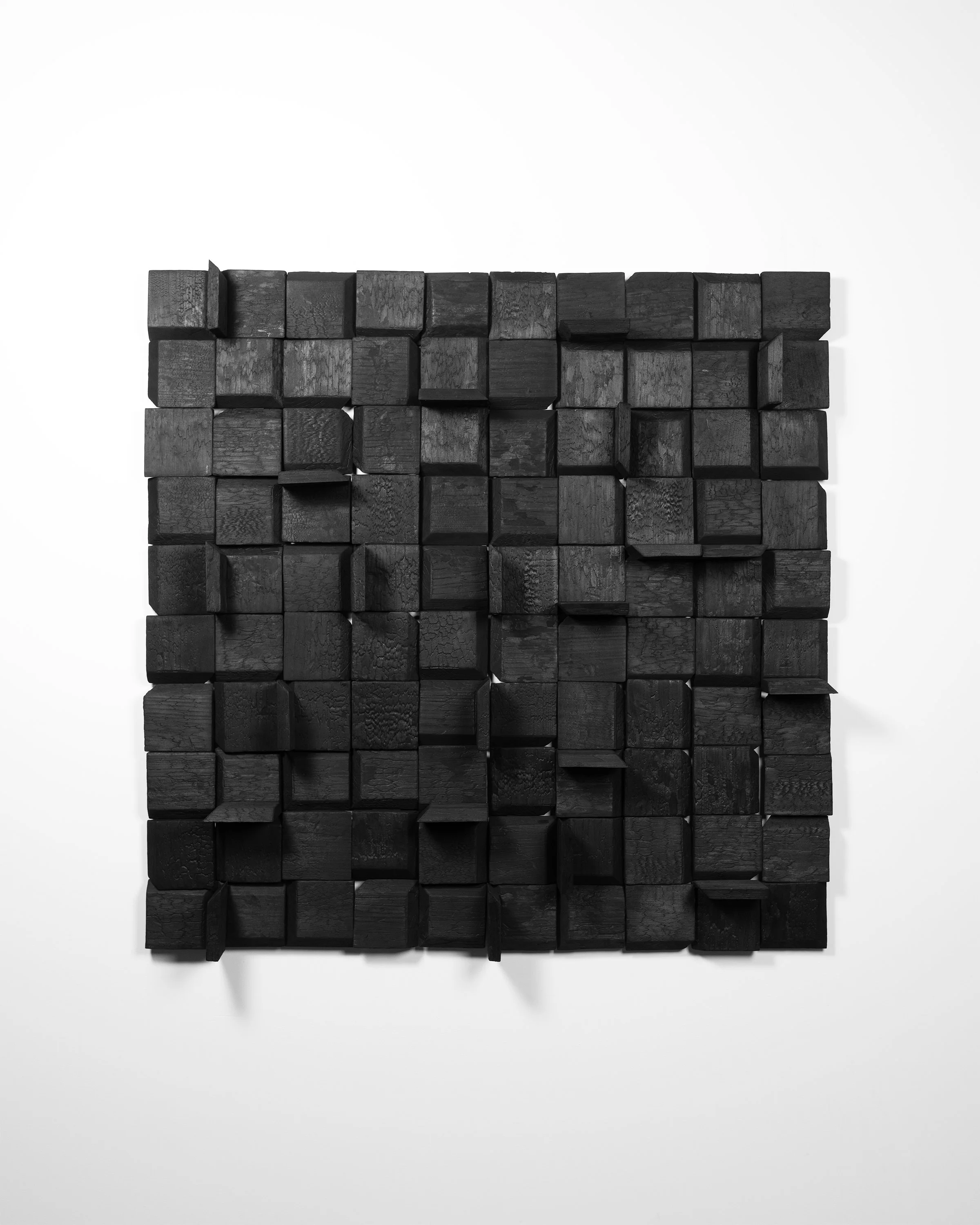 Charred Wood No. 1
