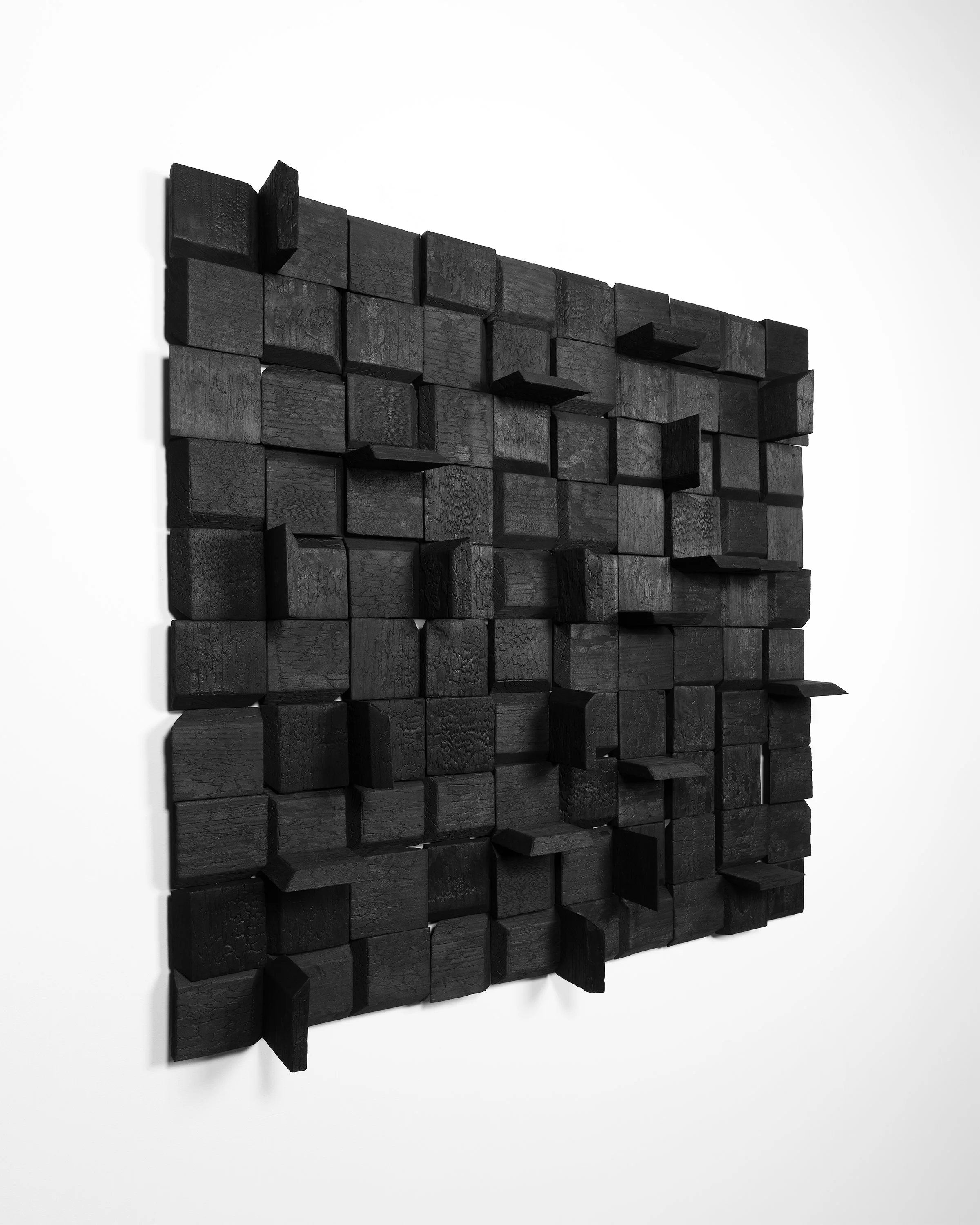 Charred Wood No. 1