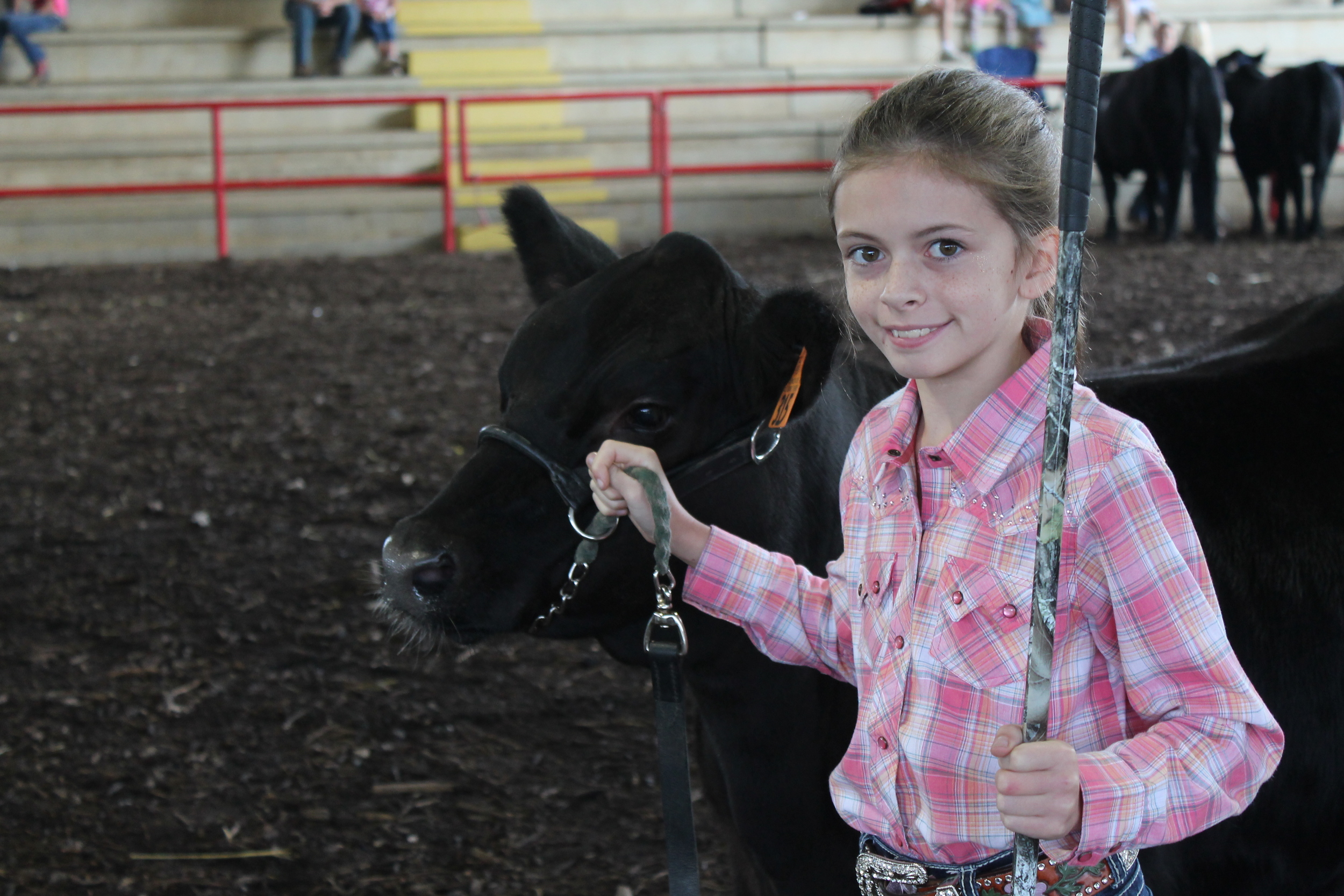 Kendra and "Lady" - 4-H'er. Kendra and "Lady" took 1st place in their division in September 2014, at the TVA&I Fair in the open show and alsoin the Junior show. They also took 2nd overall in Showmanship in the Junior division. She also took 3 blue ribbons in poultry one each for her chickens a pair of Black Sex Link and a pair of Buff Orpingtons and also for her eggs.