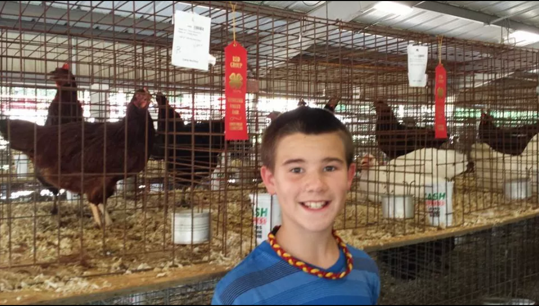 4-H'er Lane Atchley with his big wins at the 2014 TVA&I Fair. Lane is a 5th grader at Carter Elem. His Rhode Island Reds and White Rocks both received 2nd Place at the TN Valley Fair. Check out all of his ribbons he took home!