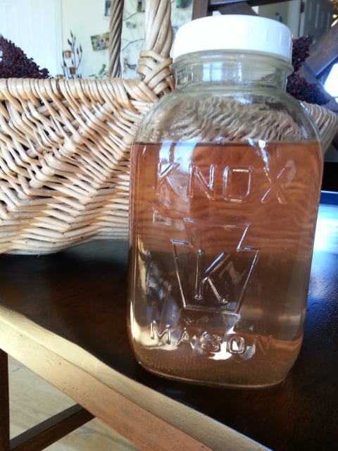 Staghorn sumac tea.