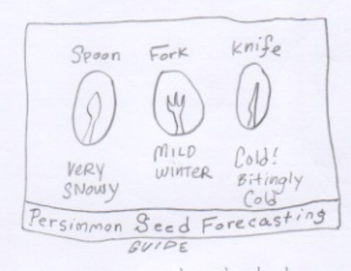 Persimmon prediction guide 1.jpeg