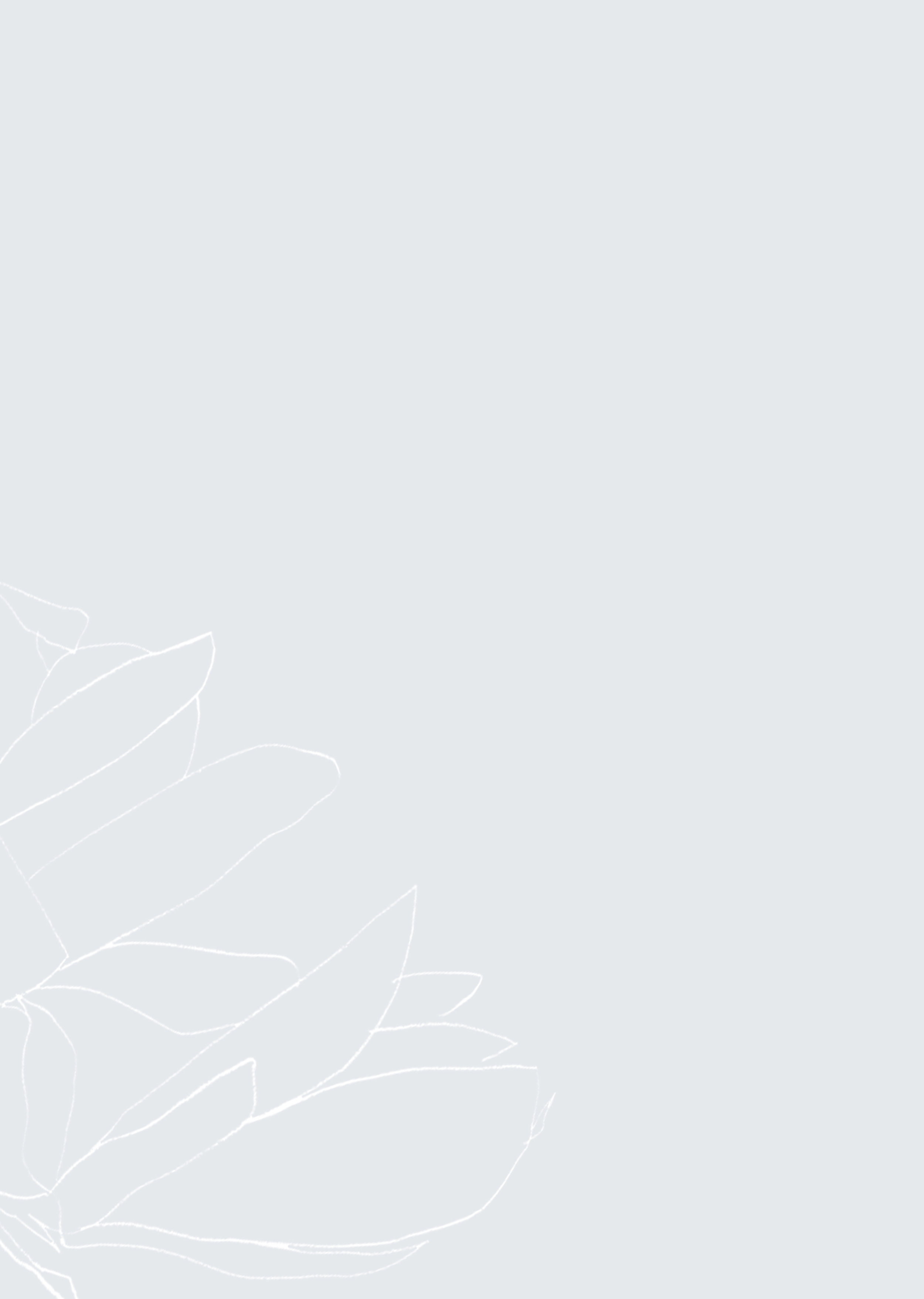 Julie_FeatureImage_Grey.jpg