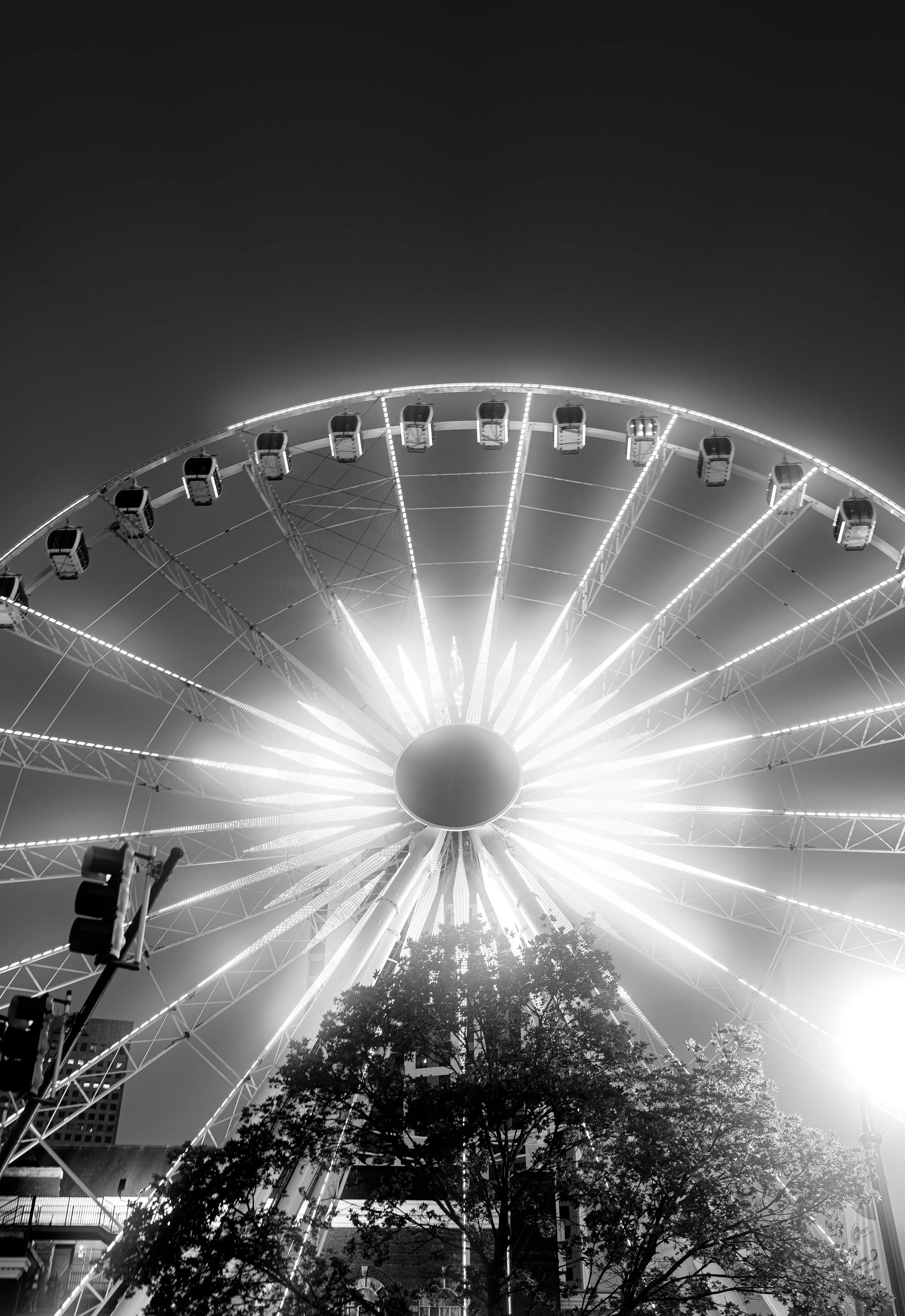 DSC02810-Enhanced-NR.jpg