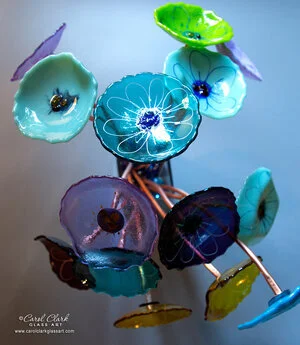 Carol Clark