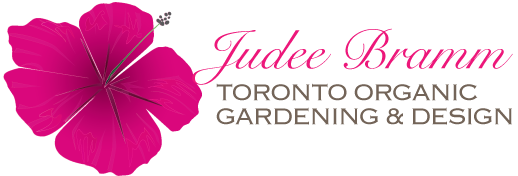 Judee Bramm Toronto Organic Gardening & Design