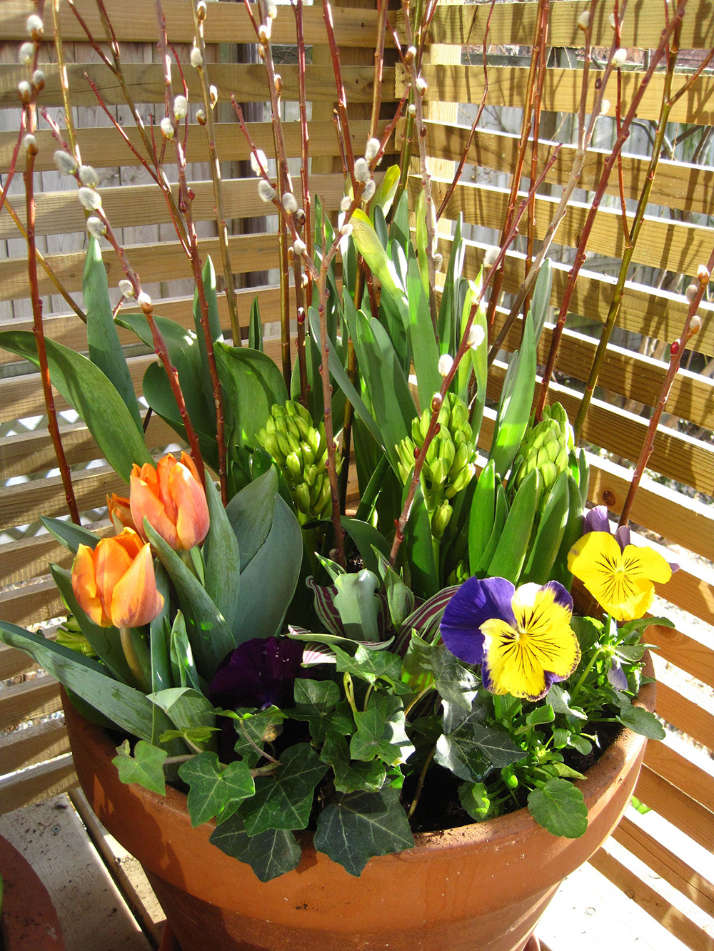 Spring-Containers---02.jpg