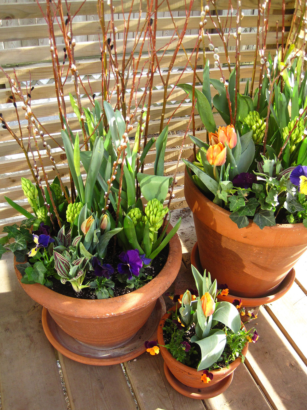 Spring-Containers---03.jpg