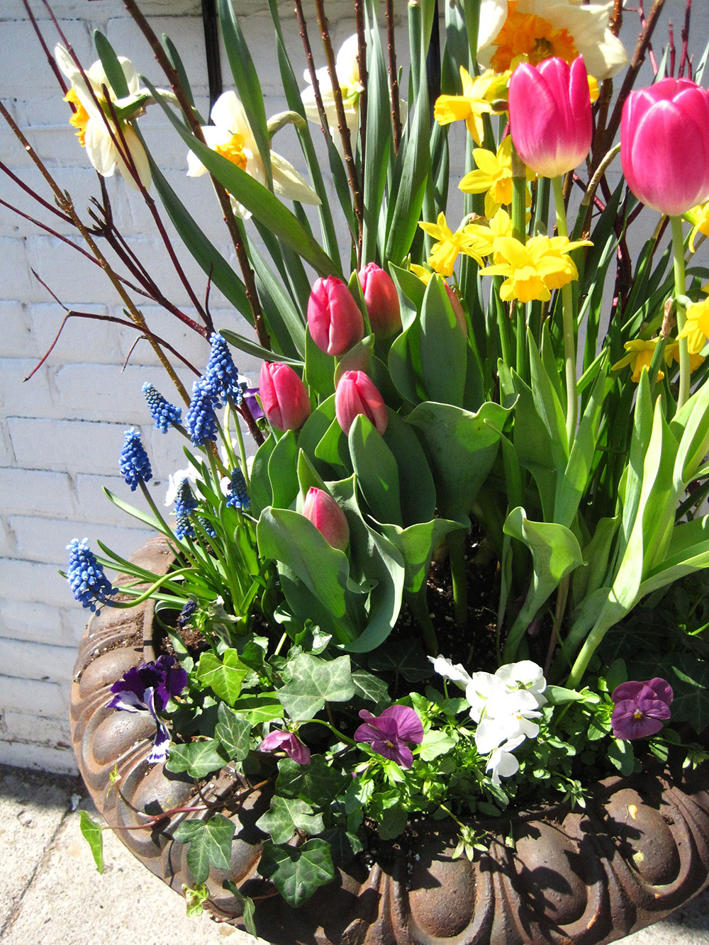 Spring-Containers---06.jpg