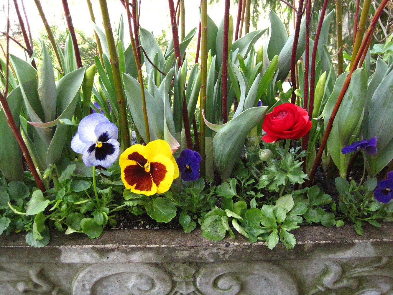 Spring-Containers---08.jpg