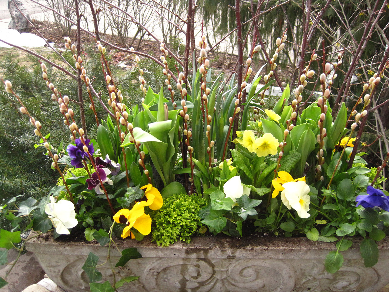 Spring-Containers---10.jpg