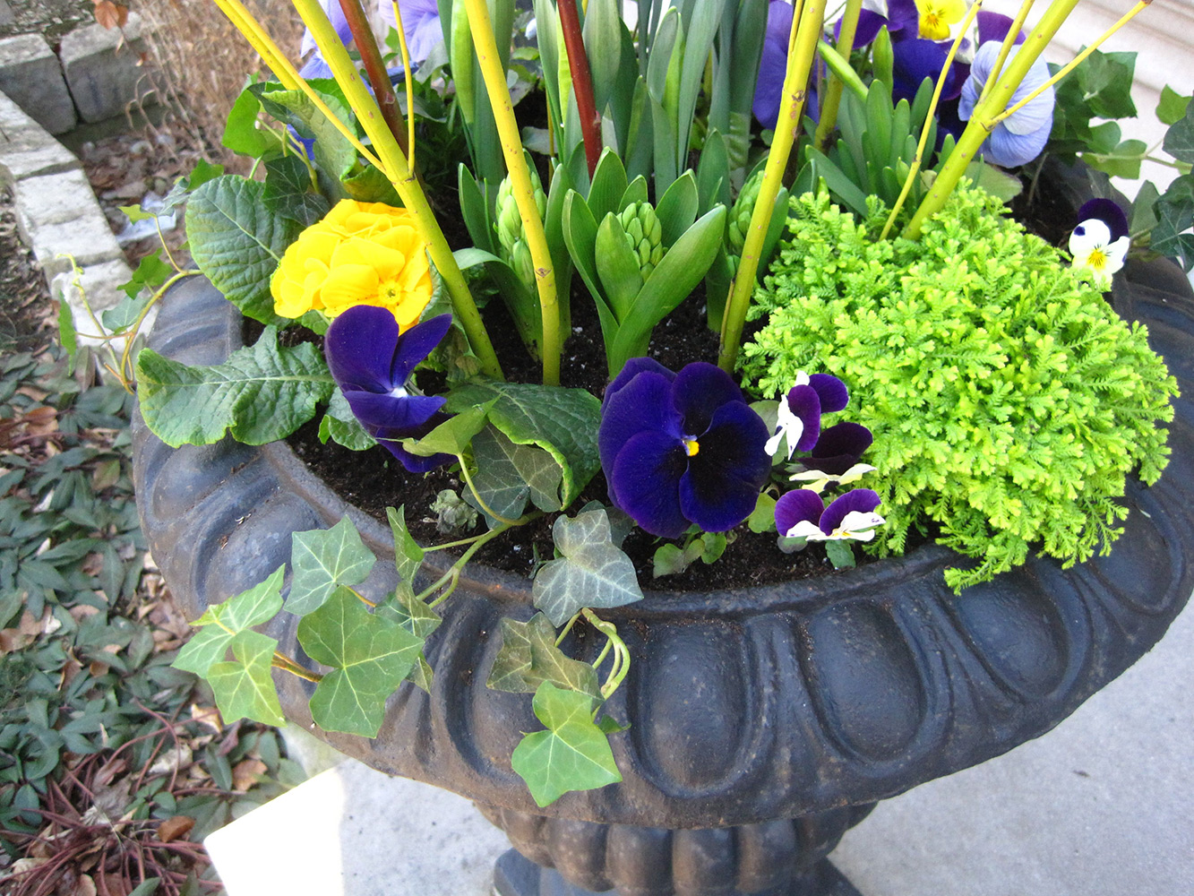 Spring-Containers---11.jpg
