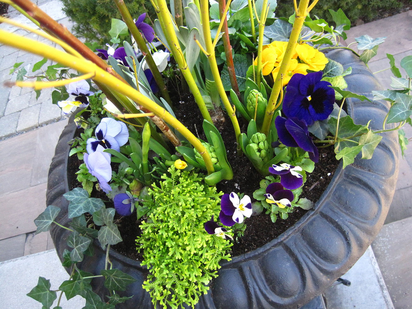 Spring-Containers---12.jpg