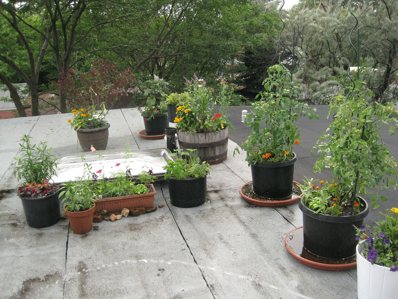 Summer-Containers---09.jpg