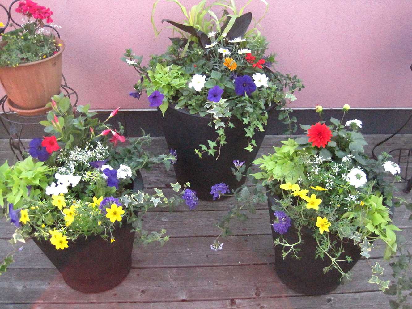 Summer-Containers---19.jpg