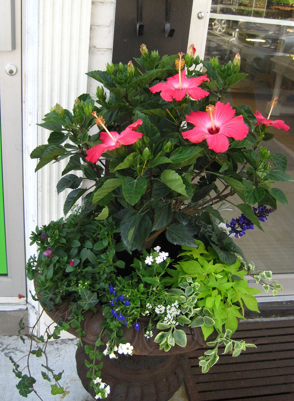 Summer-Containers---18.jpg