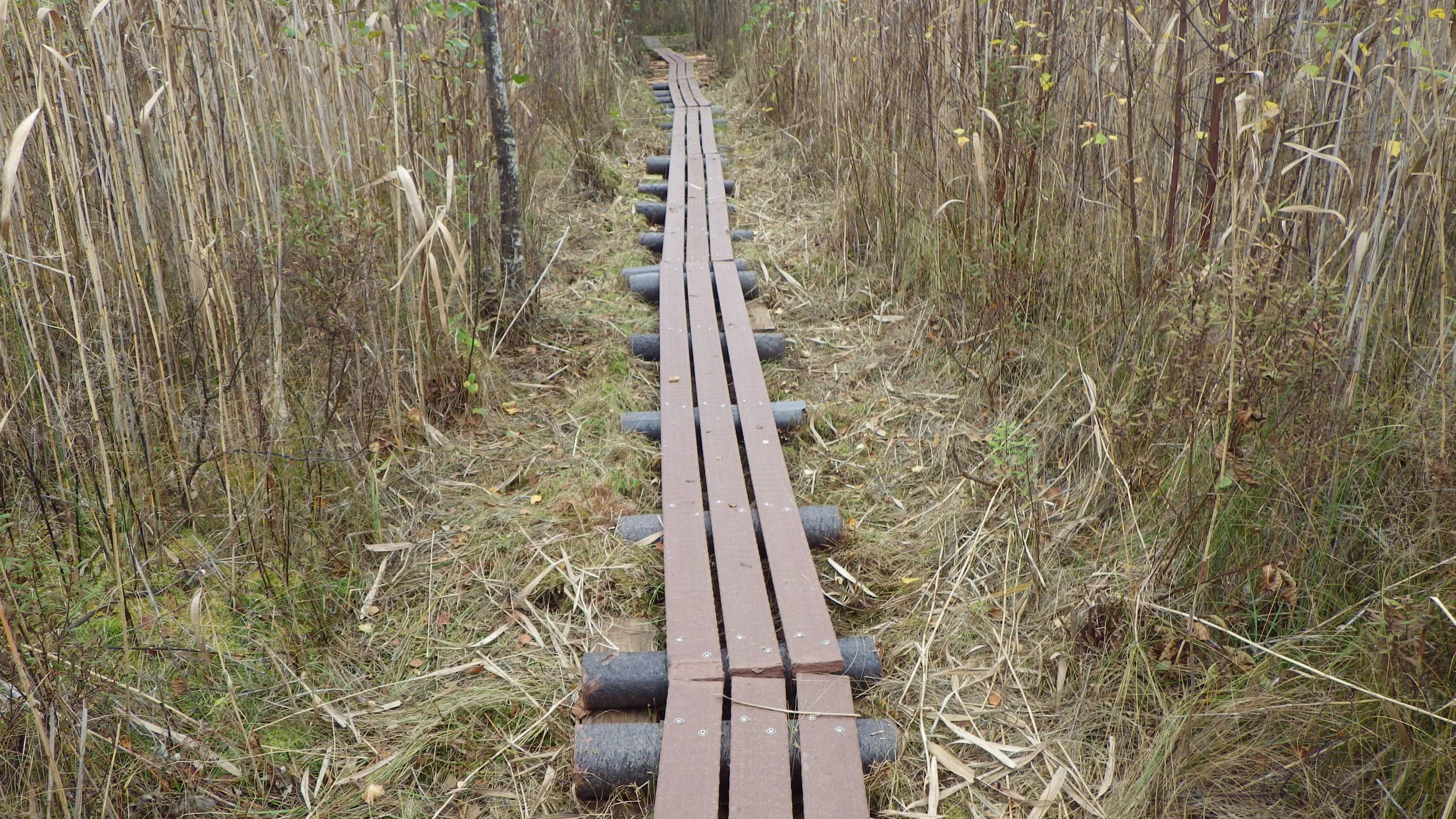Composite duckboards at Lahti city leading to Kilpiäinen bird watching tower - duckboards 95% from recycled materials and support beams 100% from recycled materials Photos by Lahti City Environmental Councelling