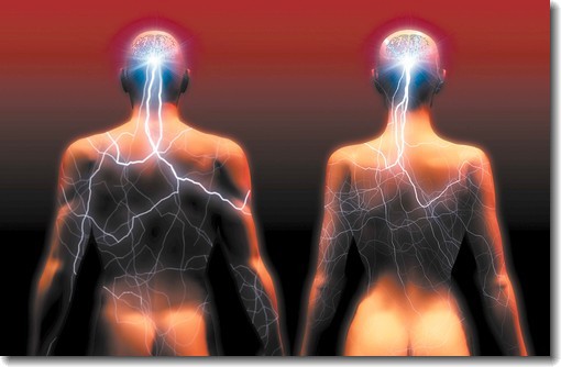 Sexual Intelligence = knowledge + emotional skills + body awareness - Marty Klein