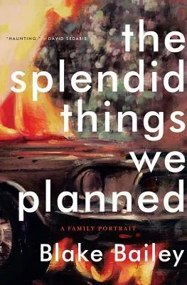 Splendid_Things.jpg