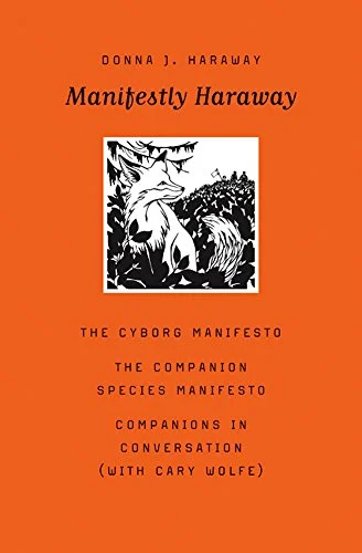   The Cyborg Manifesto   by Donna Haraway 