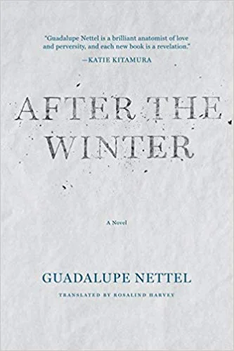    After the Winter    by Guadalupe Nettel 