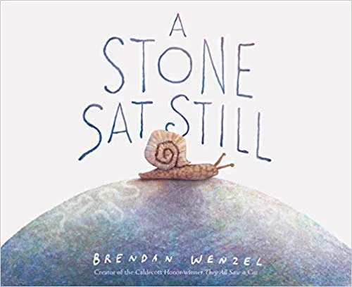 Kids Book of the Week (September 23, 2019) Phinney by Post Kids Book #45 A Stone Sat Still by Brendan Wenzel Wenzel returns to the same premise as in his Caldecott Honor winner, They All Saw a Cat —everyone brings their own perspective to the same thing—but for me there's something even more evocative about making a stone—so solitary, cold, and unmoving, at least on first glance—the center of his attention. You'd never think a mere stone could carry the emotion and insight he brings to it, but by the end, there it is, dark and bright, smooth and rough, a pebble and a hill, in all the variety we bring it, with a wonderfully incantatory text to accompany it. Lovely. (Age 0 to 5) —Tom