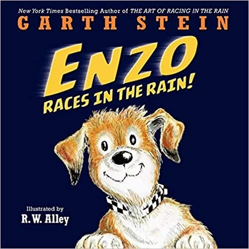 Stein_Enzo.jpg