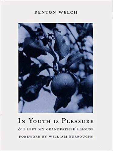   In Youth Is Pleasure    by Denton Welch 