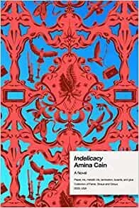    Indelicacy    by Amina Cain 