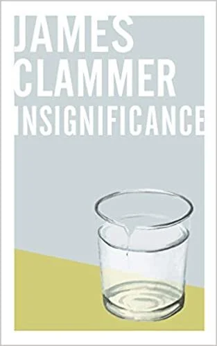   New Book of the Week (September 20, 2021)     Insignificance    by James Clammer  The blurb for this describes it as "a plumber's  Mrs. Dalloway ," which I think is just about right. It's a beautifully handled interior monologue of a fictional trad