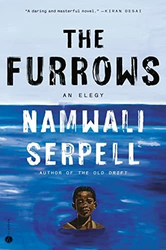    The Furrows    by Namwali Serpell 