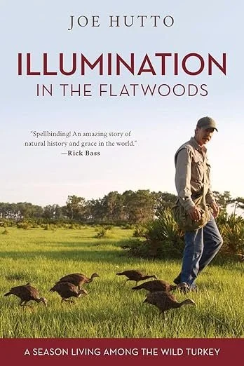    Illumination in the Flatwoods    by Joe Hutto  This is a joyful book. Much of the joy comes from the wild turkeys Joe Hutto raises from a clutch of eggs, as they investigate and appreciate their portion of north Florida woodland, but Hutto is full